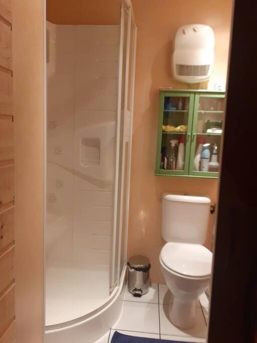 Appartement Face Au Thermes Et Au Calme Bagnères-de-Luchon Екстериор снимка