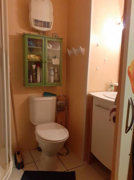 Appartement Face Au Thermes Et Au Calme Bagnères-de-Luchon Екстериор снимка